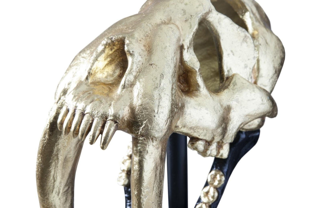 SwayLiving Saber Tooth Tiger Skull, Black, Gold Leaf DECORATIVE OBJECTS