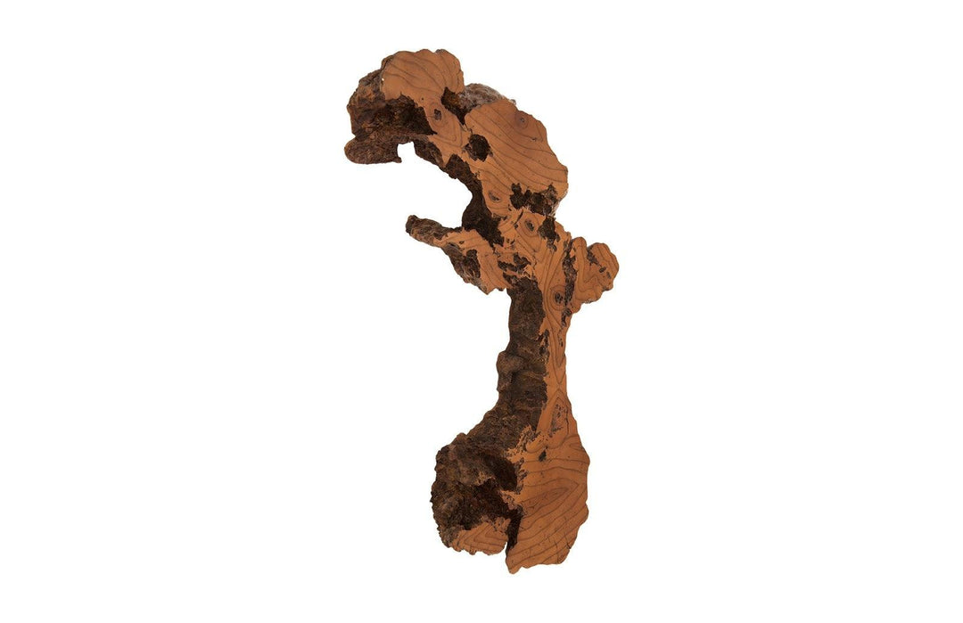 SwayLiving Burled Root Wall Art, Medium, Faux Bois Finish WALL ACCENTS