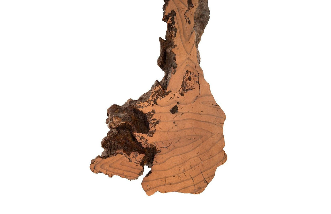SwayLiving Burled Root Wall Art, Medium, Faux Bois Finish WALL ACCENTS