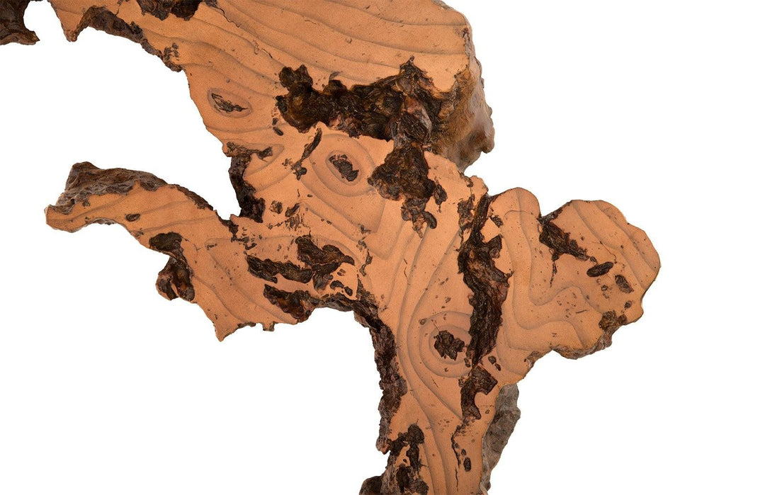 SwayLiving Burled Root Wall Art, Medium, Faux Bois Finish WALL ACCENTS