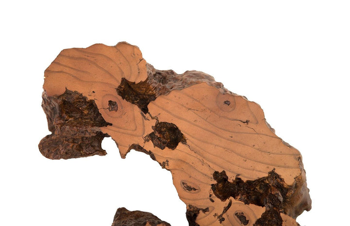 SwayLiving Burled Root Wall Art, Medium, Faux Bois Finish WALL ACCENTS