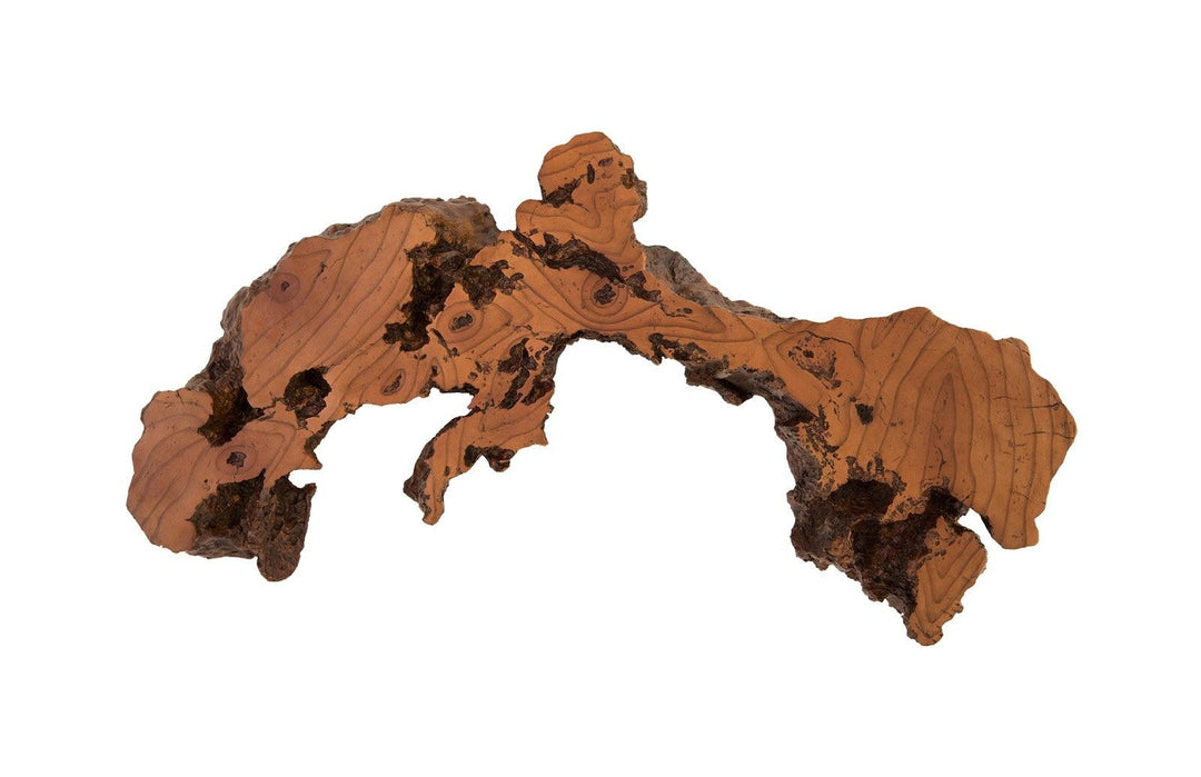 SwayLiving Burled Root Wall Art, Medium, Faux Bois Finish WALL ACCENTS