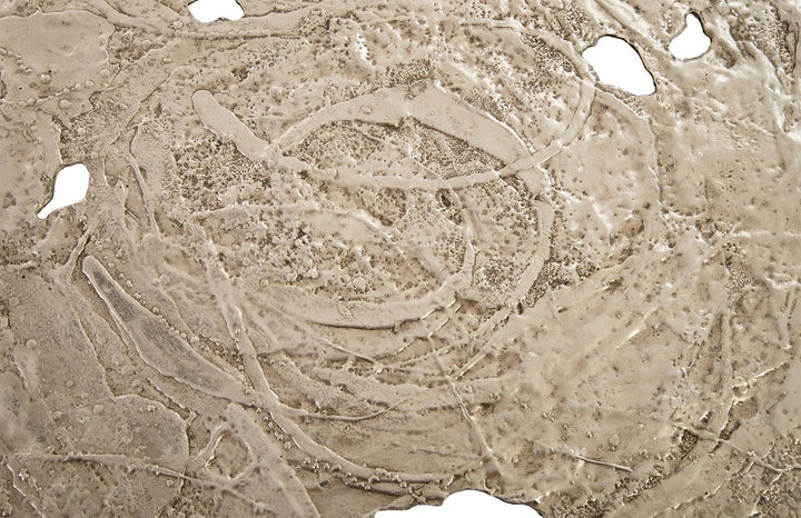 SwayLiving Molten Wall Disc, Large, Silver Leaf WALL ACCENTS