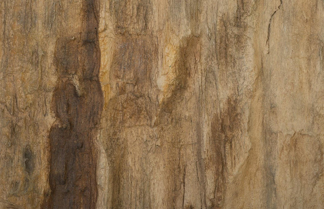 SwayLiving Cast Petrified Wood Wall Tile, Resin, Square WALL ACCENTS