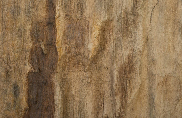 SwayLiving Cast Petrified Wood Wall Tile, Resin, Square WALL ACCENTS