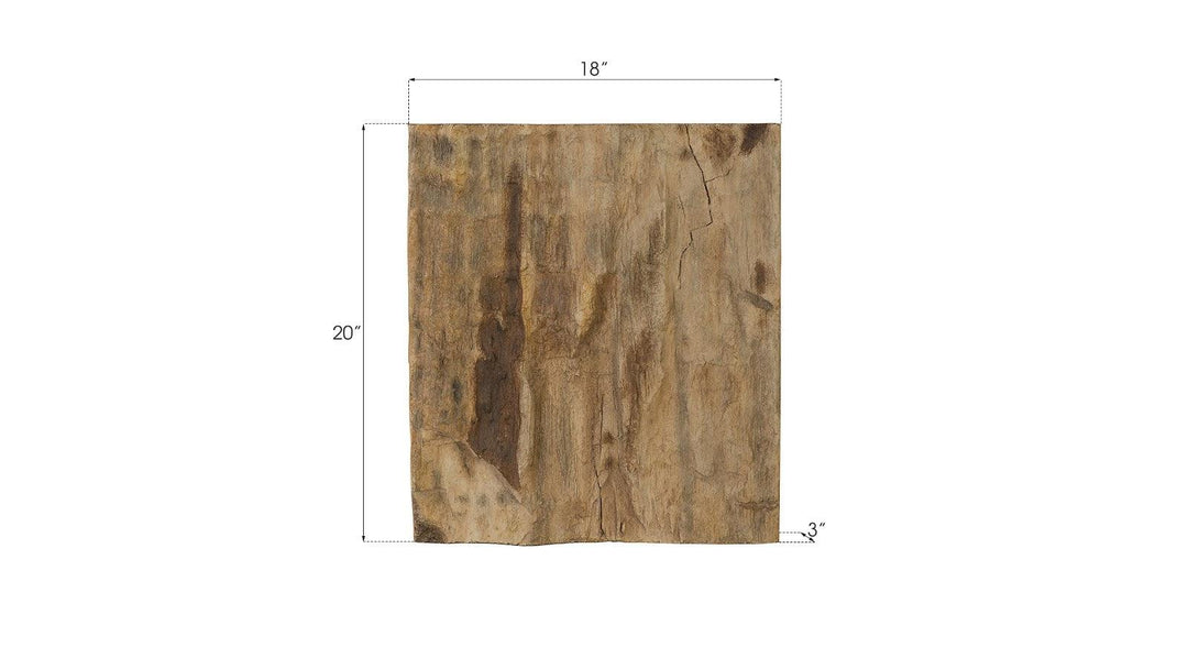 SwayLiving Cast Petrified Wood Wall Tile, Resin, Square WALL ACCENTS