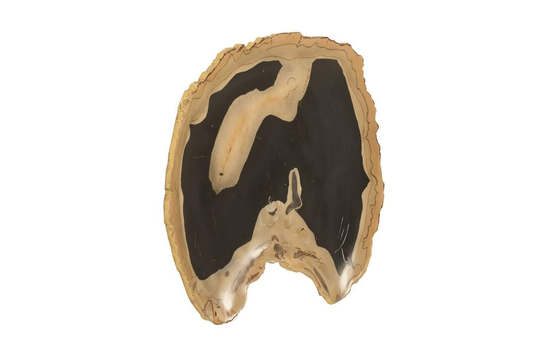 SwayLiving Cast Petrified Wood Wall Tile, Resin, Thin WALL ACCENTS