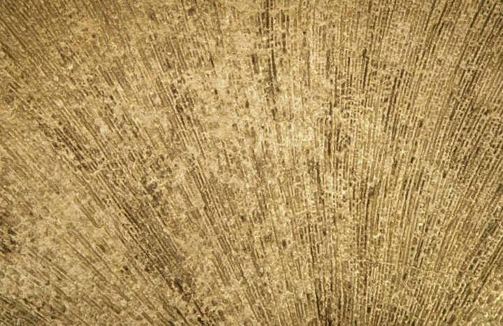 SwayLiving Convergence Mirror, Resin, Gold Leaf WALL MIRRORS