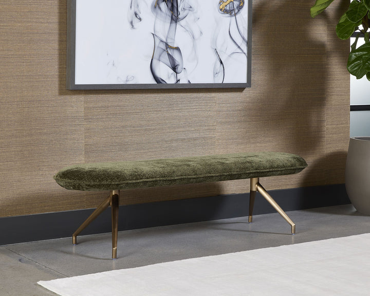 Bergen Olive