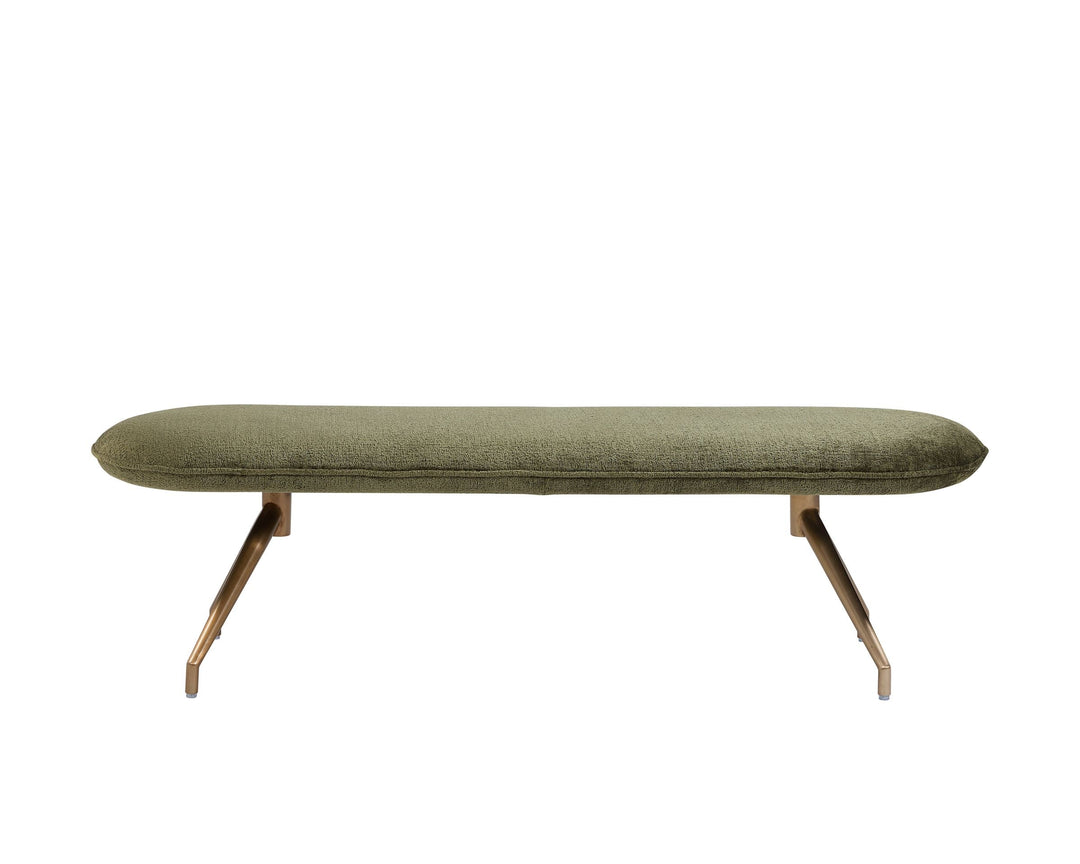 Bergen Olive